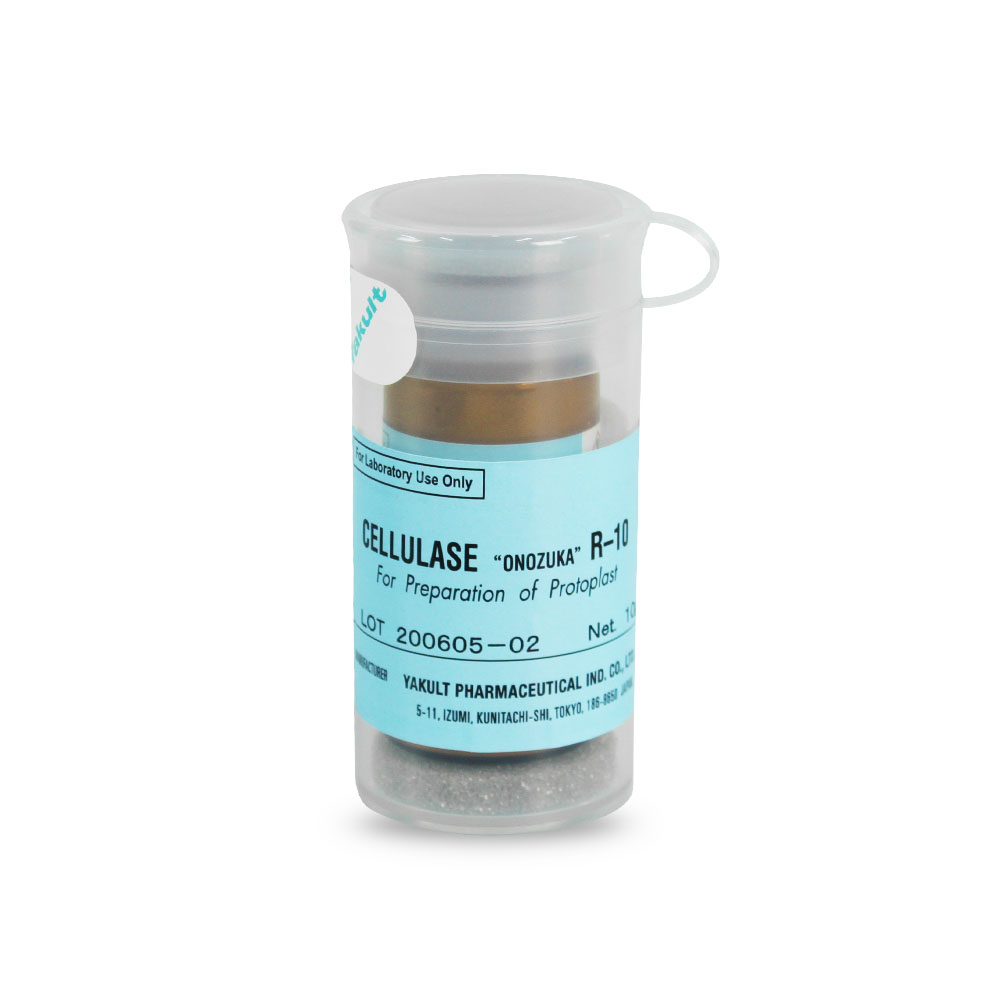 纤维素酶R-10